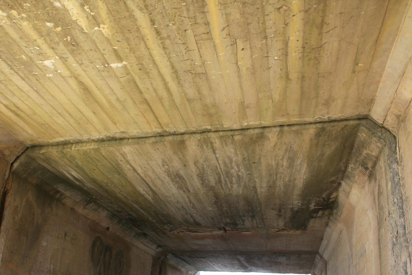 Ceiling details